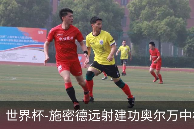 世界杯-施密德远射建功奥尔万中框 半场奥地利1-0约旦